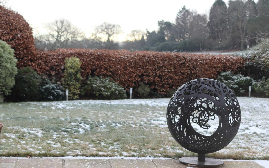 January Lawn Care: How to Winter‑Proof Your Yard and Prep for a Strong Spring