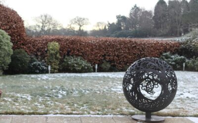 January Lawn Care: How to Winter‑Proof Your Yard and Prep for a Strong Spring